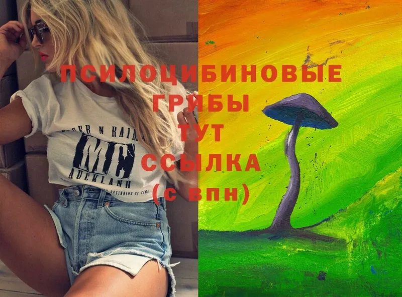 Галлюциногенные грибы Psilocybine cubensis  Андреаполь 